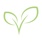 Hand-drawn green leaf illustration