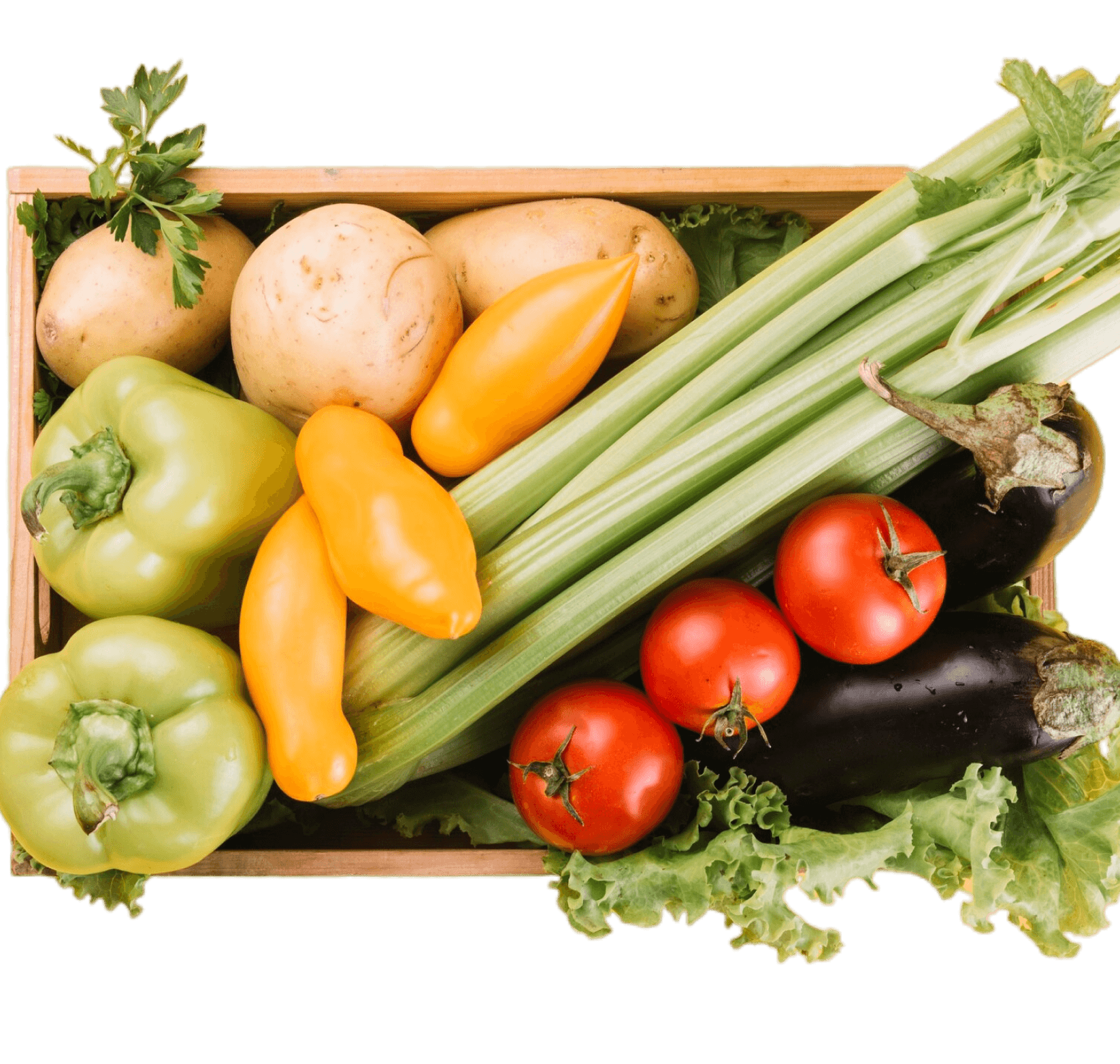 Fresh vegetables in a container viewed from above — peppers, greens and tomatoes