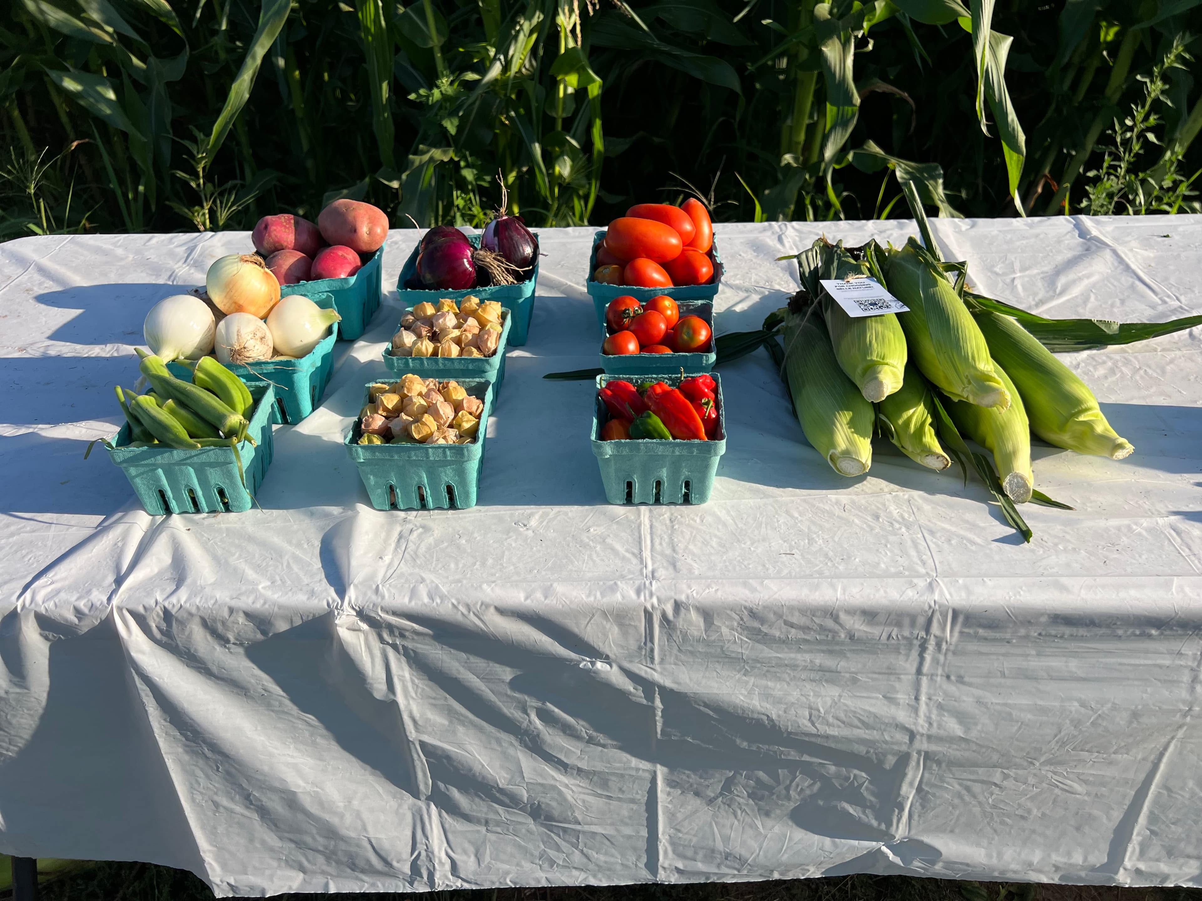 Vegetables in the Family Box