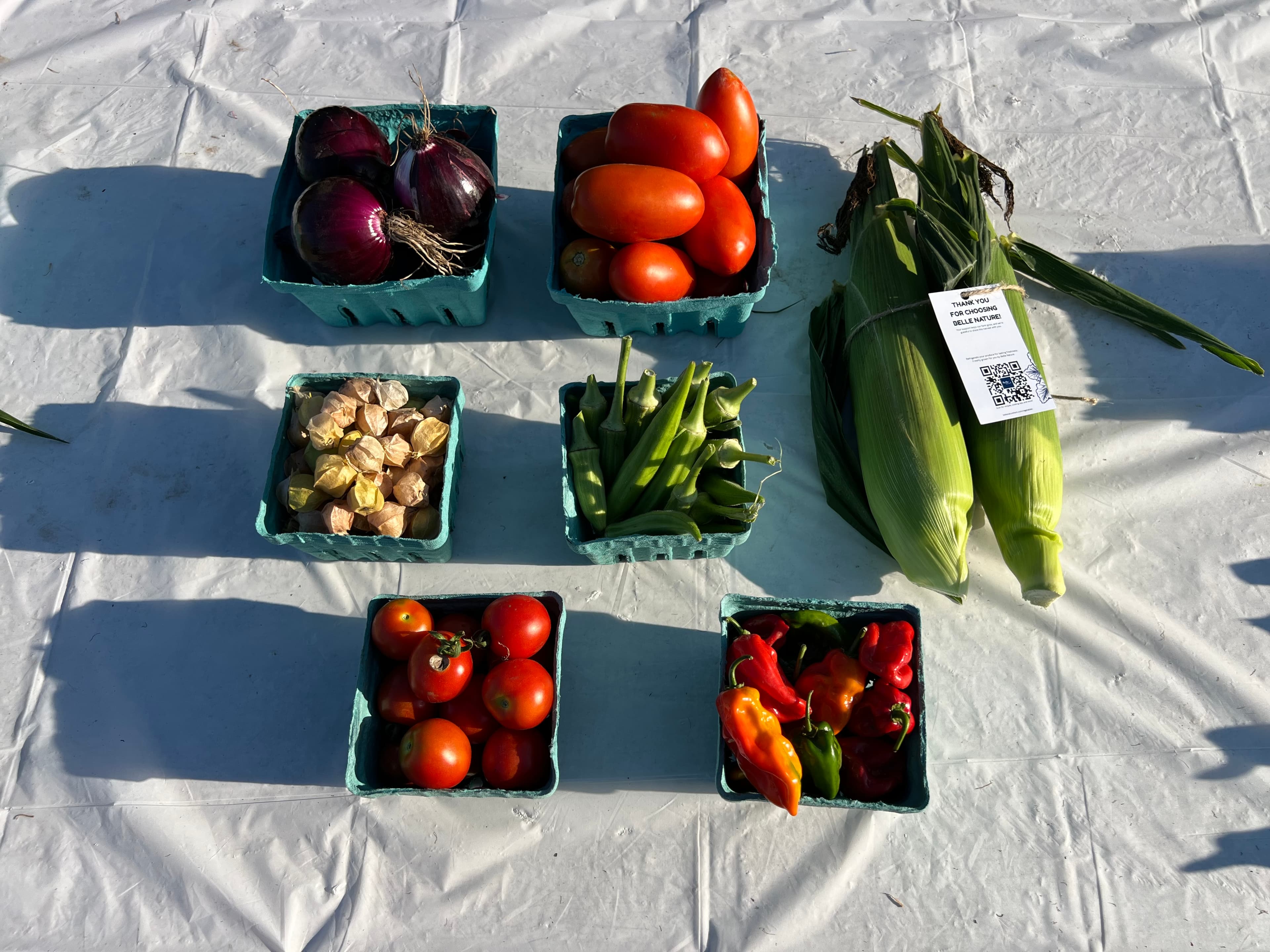Vegetables in the Single Box