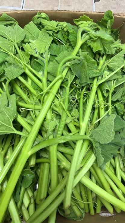Asian Pumpkin Leaves and Shoots