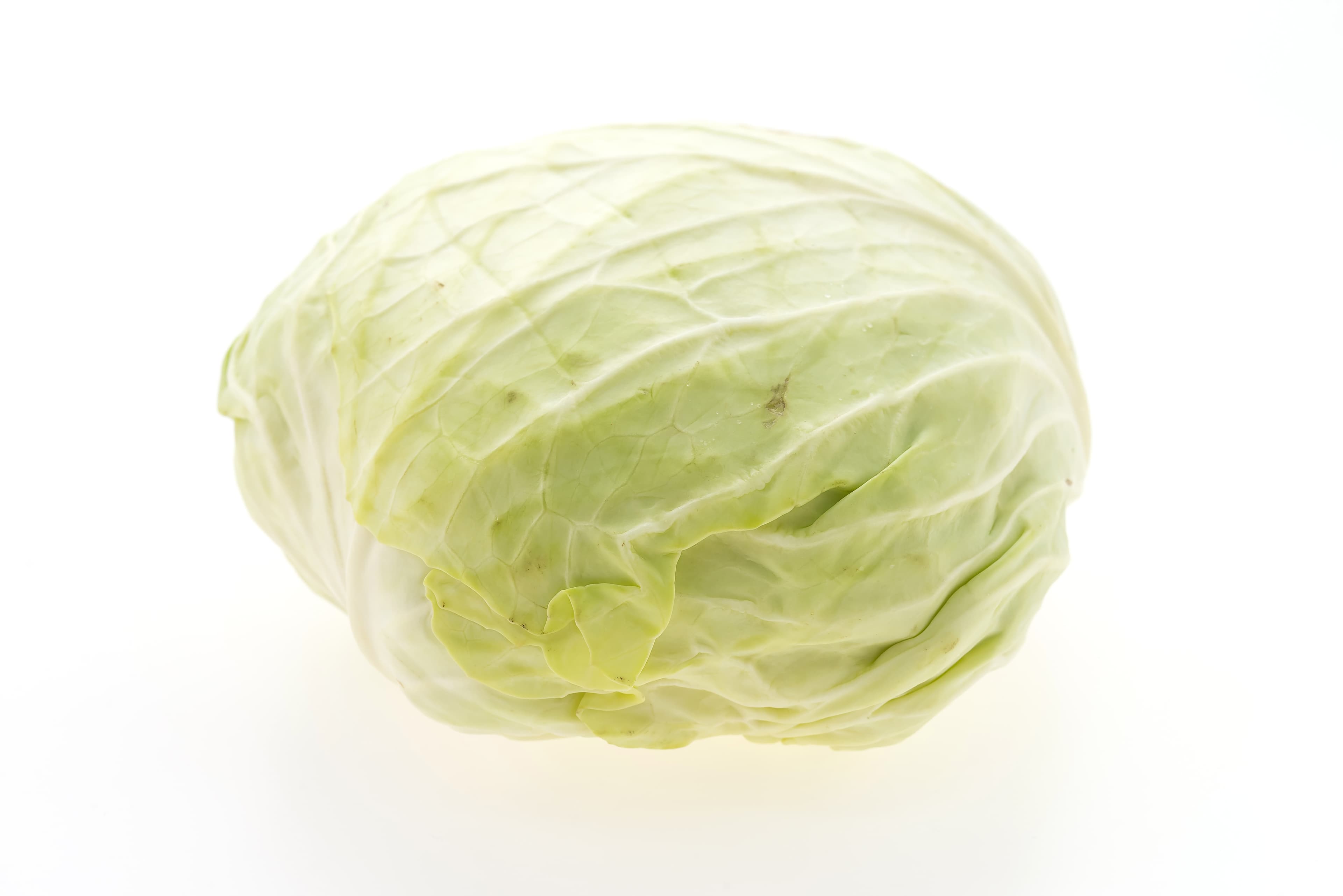 Green Cabbage