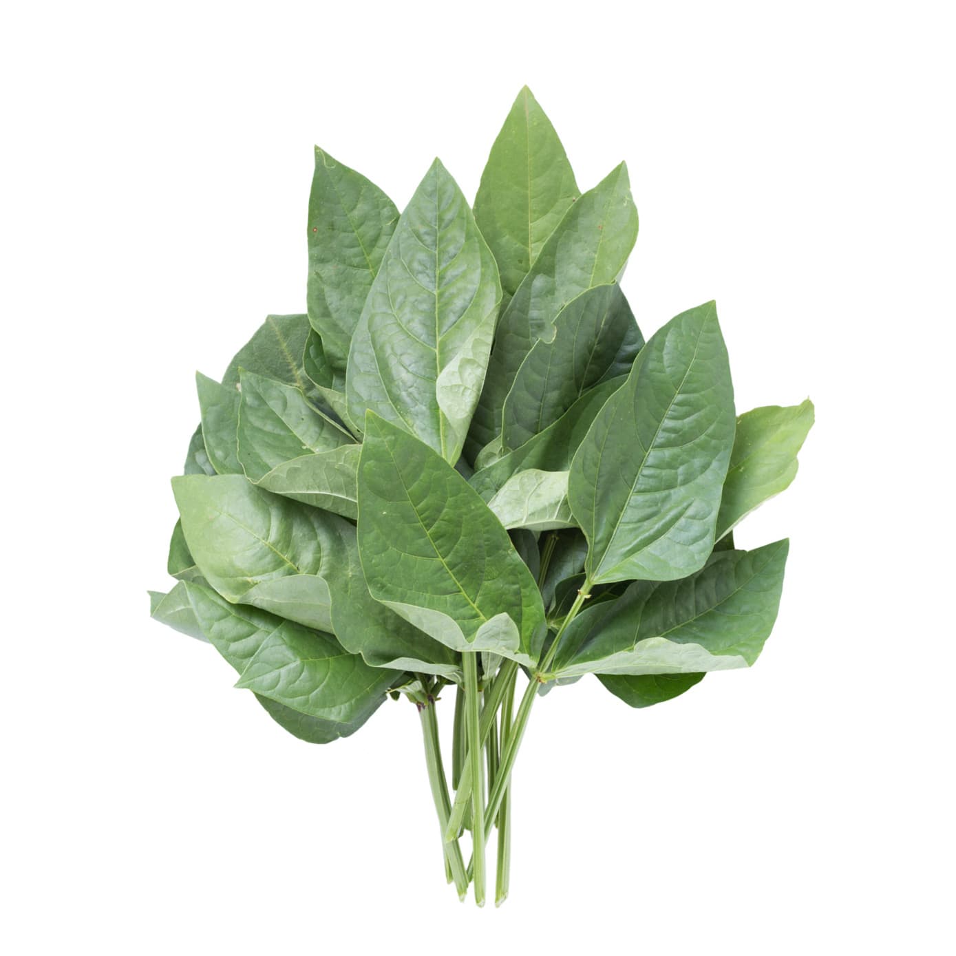 Cowpea Greens