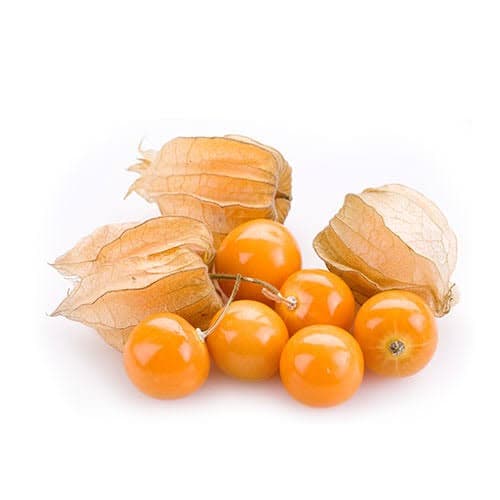 Ground Cherries