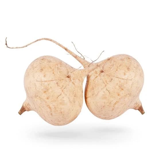 Jicama (Mexican Turnip / Yam Bean)