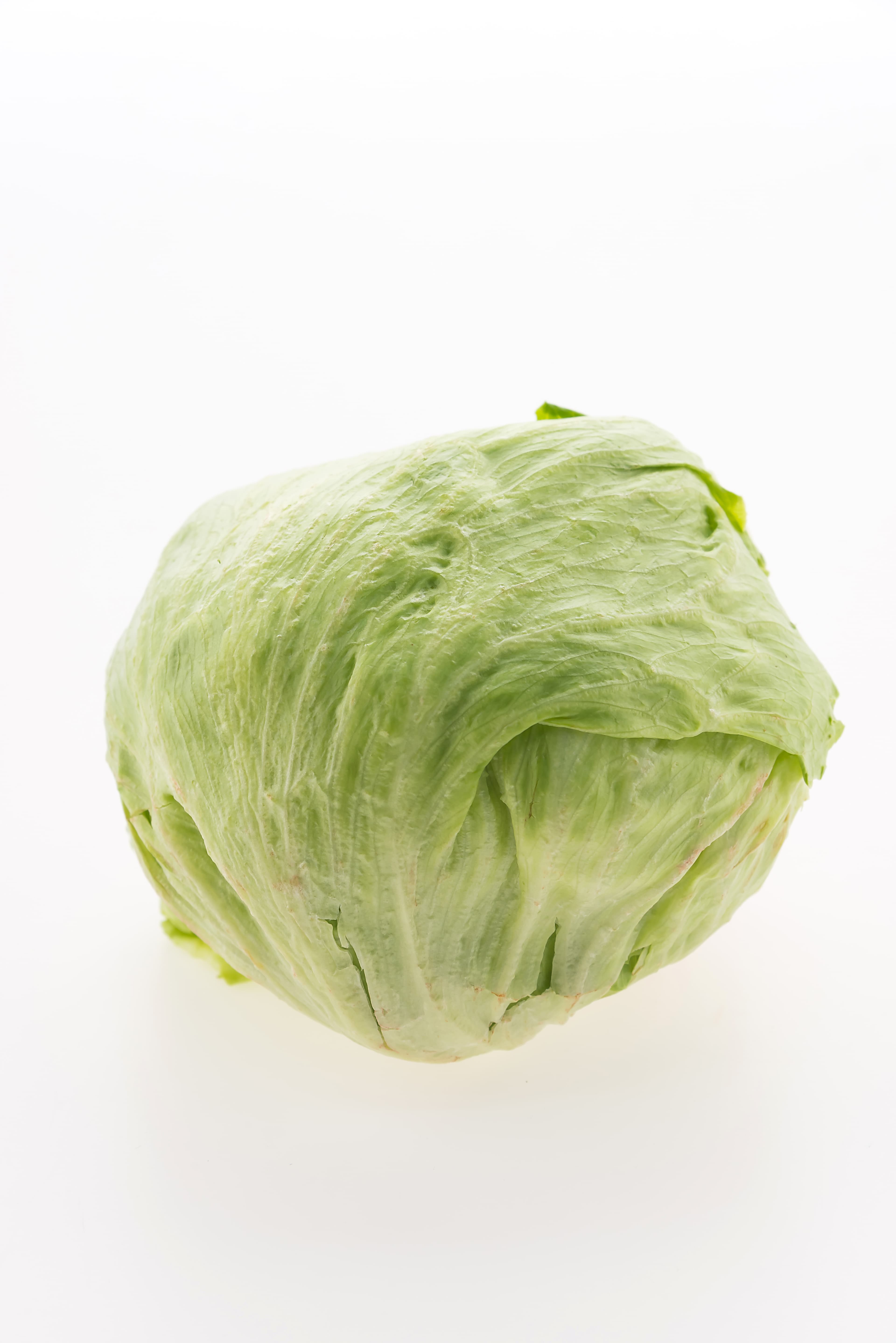 Iceberg Lettuce
