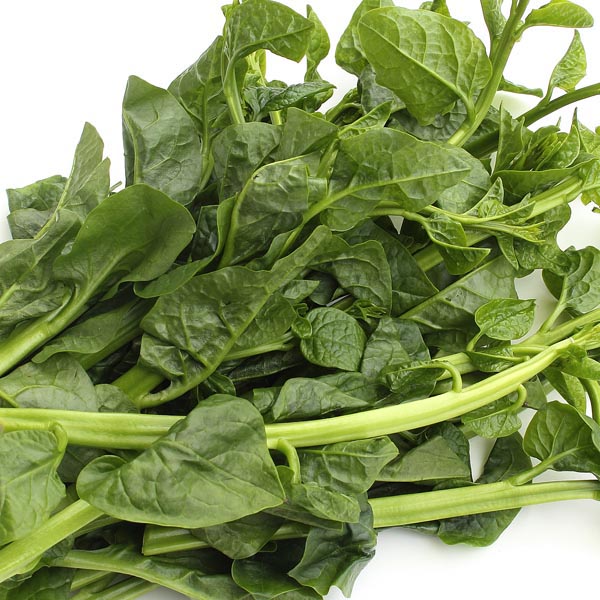 Malabar Spinach