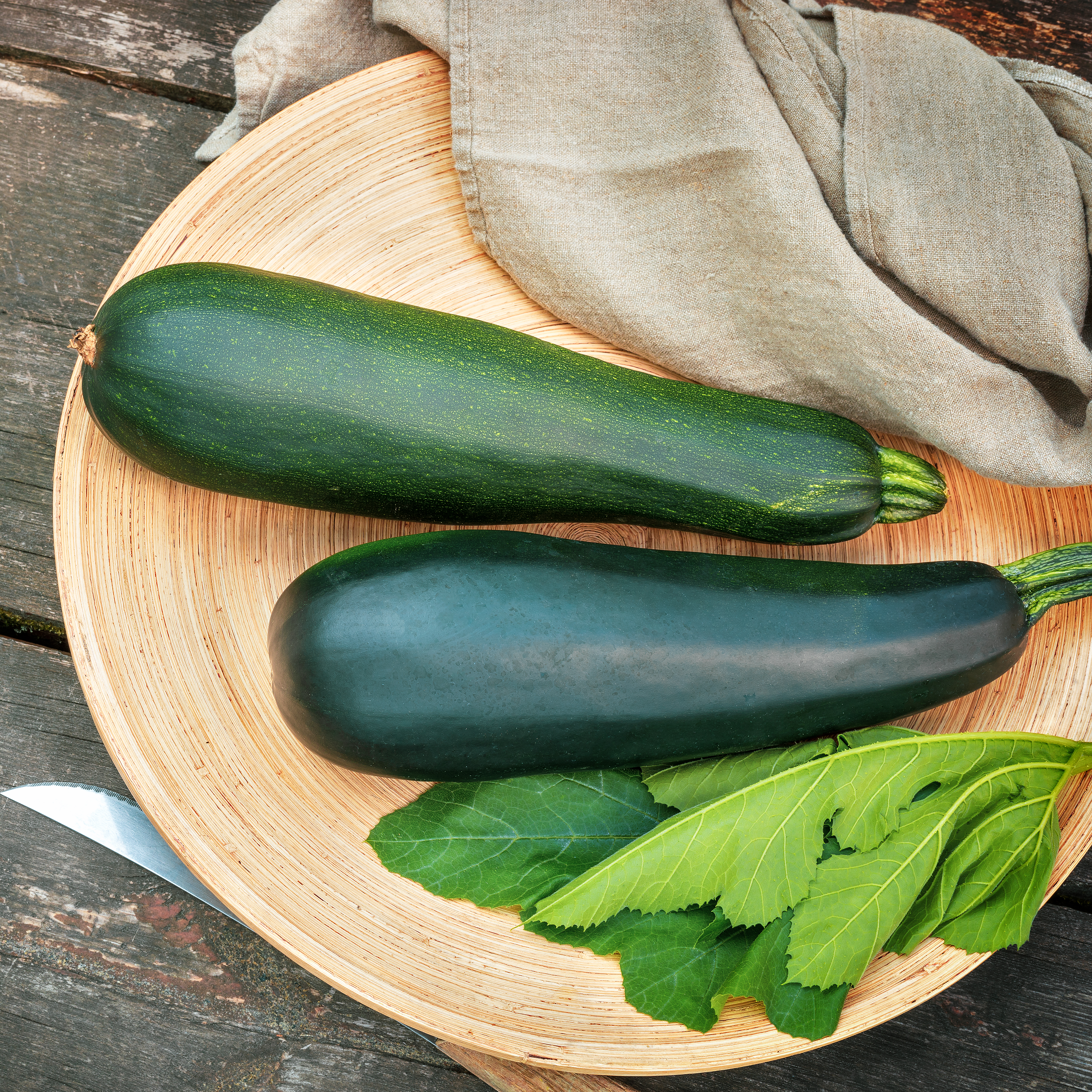 Mature Oversized Zucchini