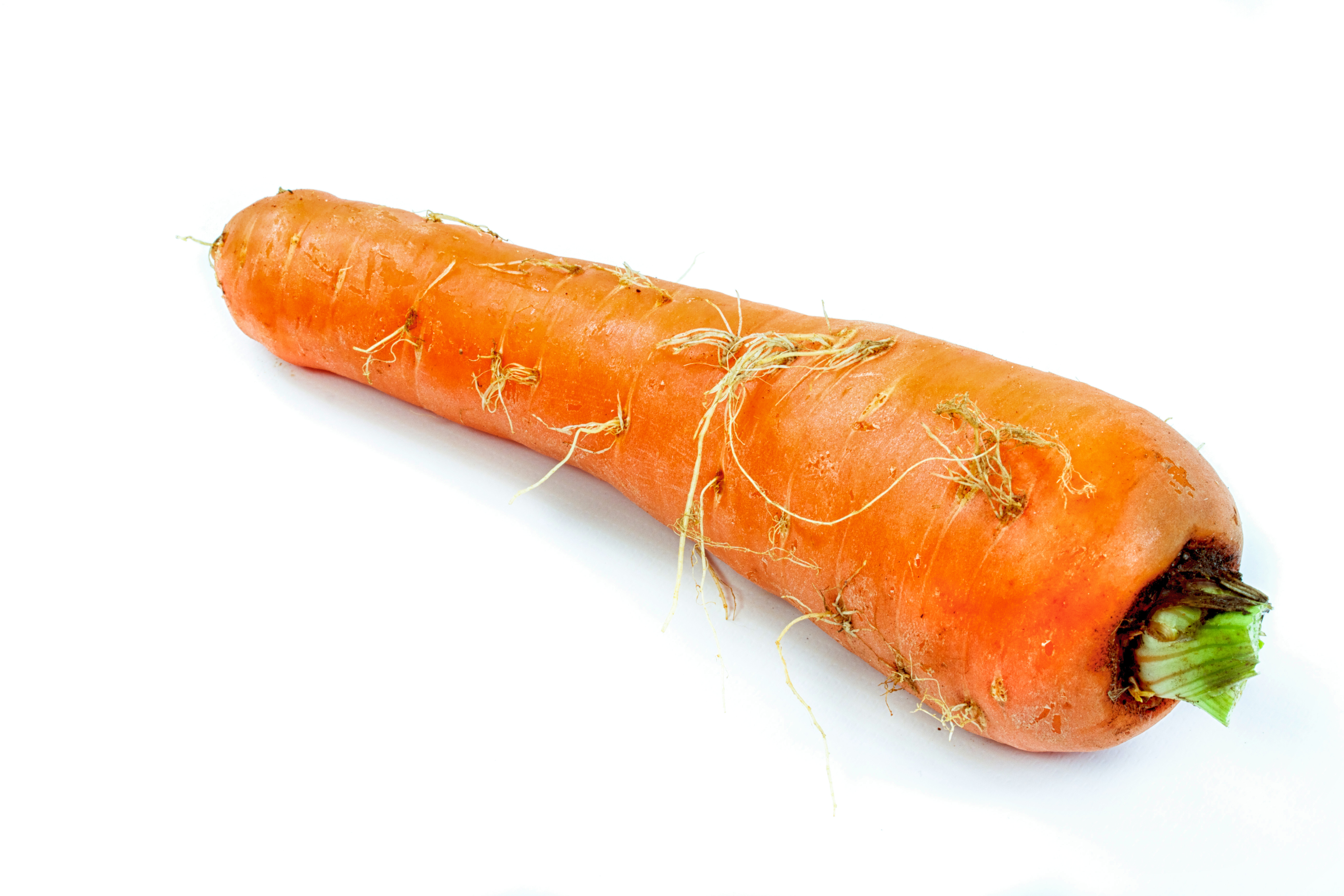 Carrot