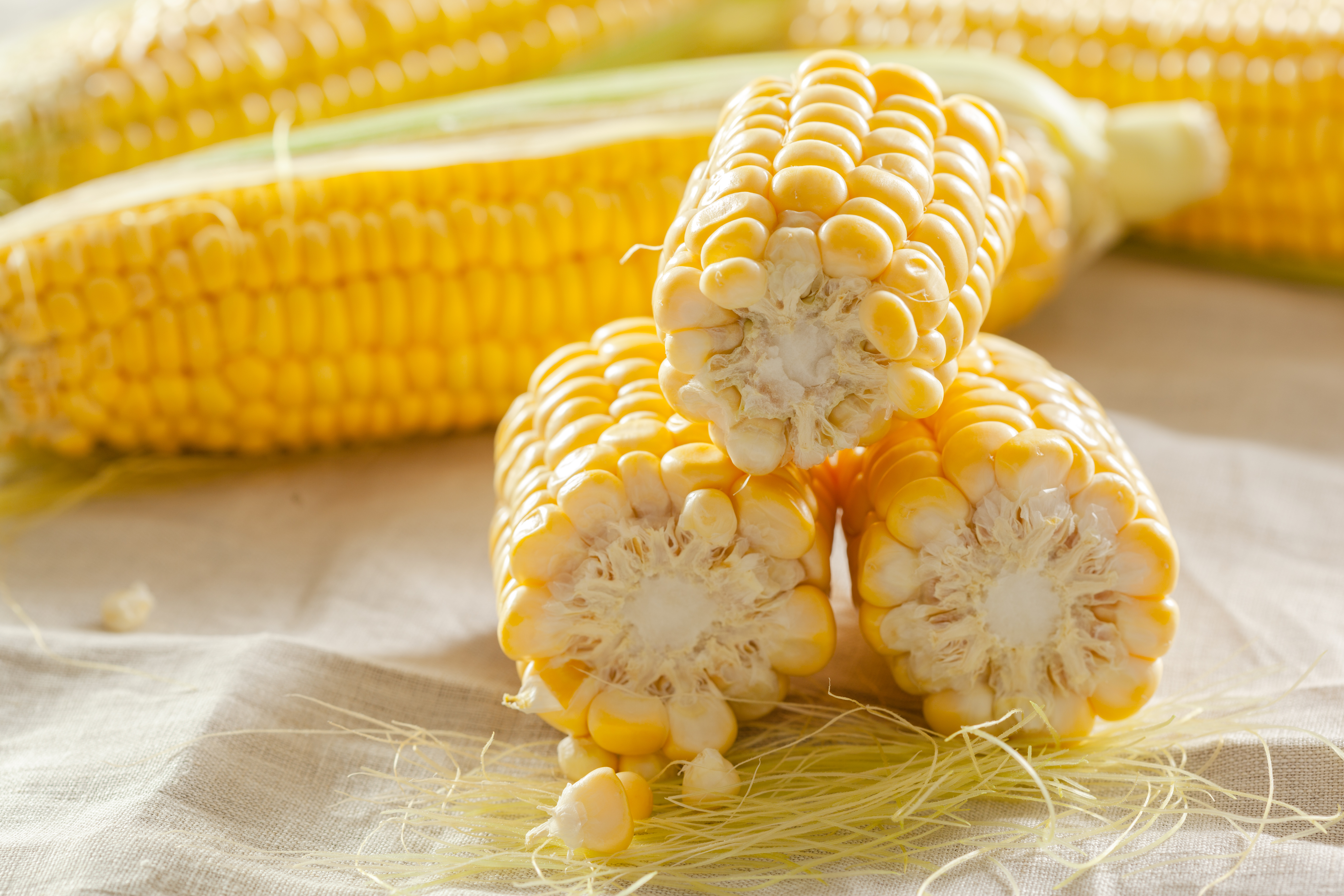 Sweet Corn