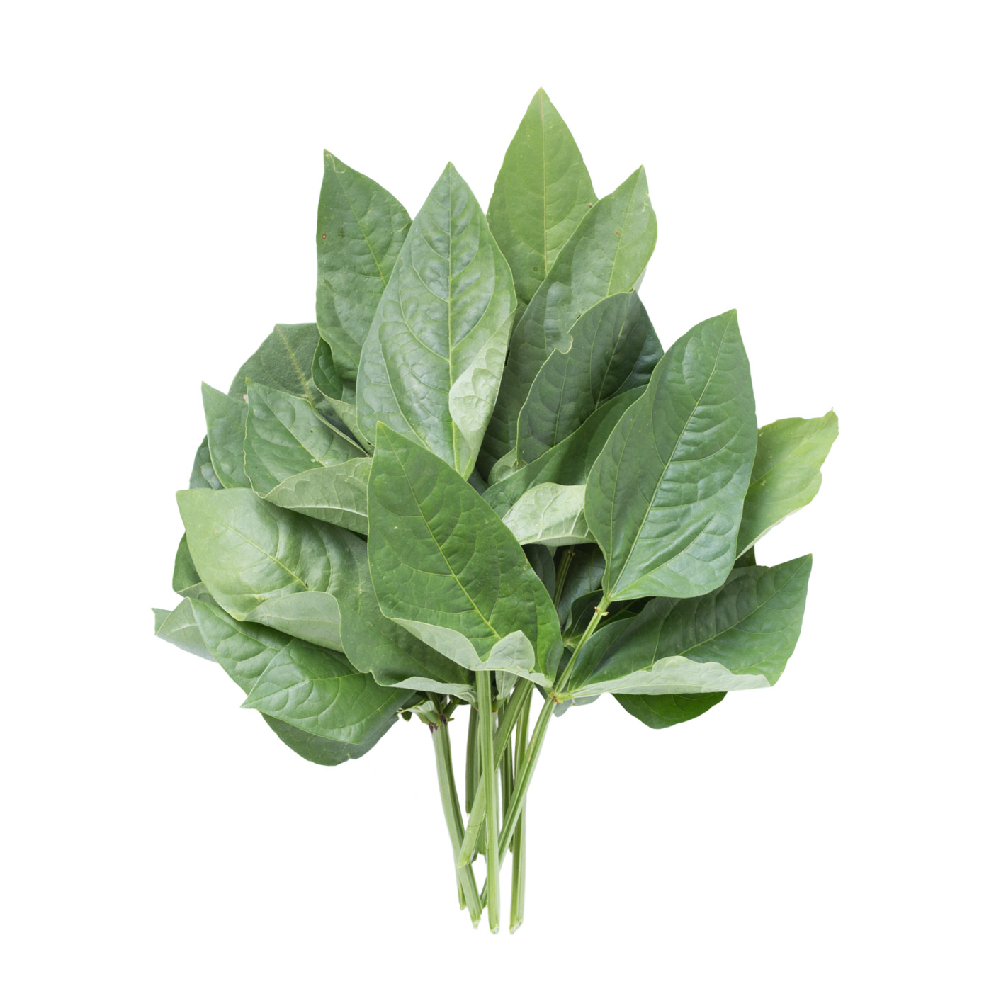 Cowpea Greens
