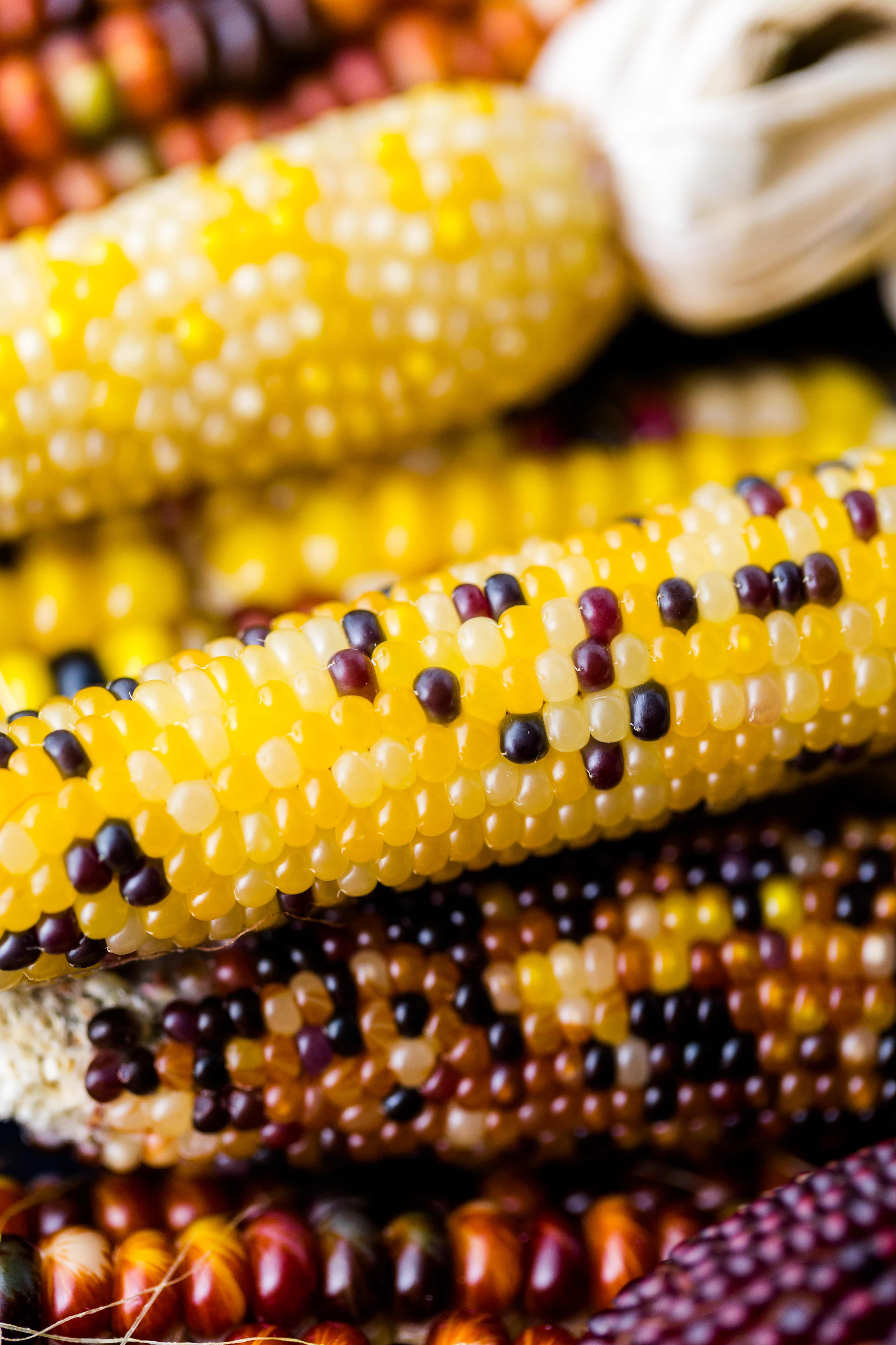 Hmong Sticky Corn