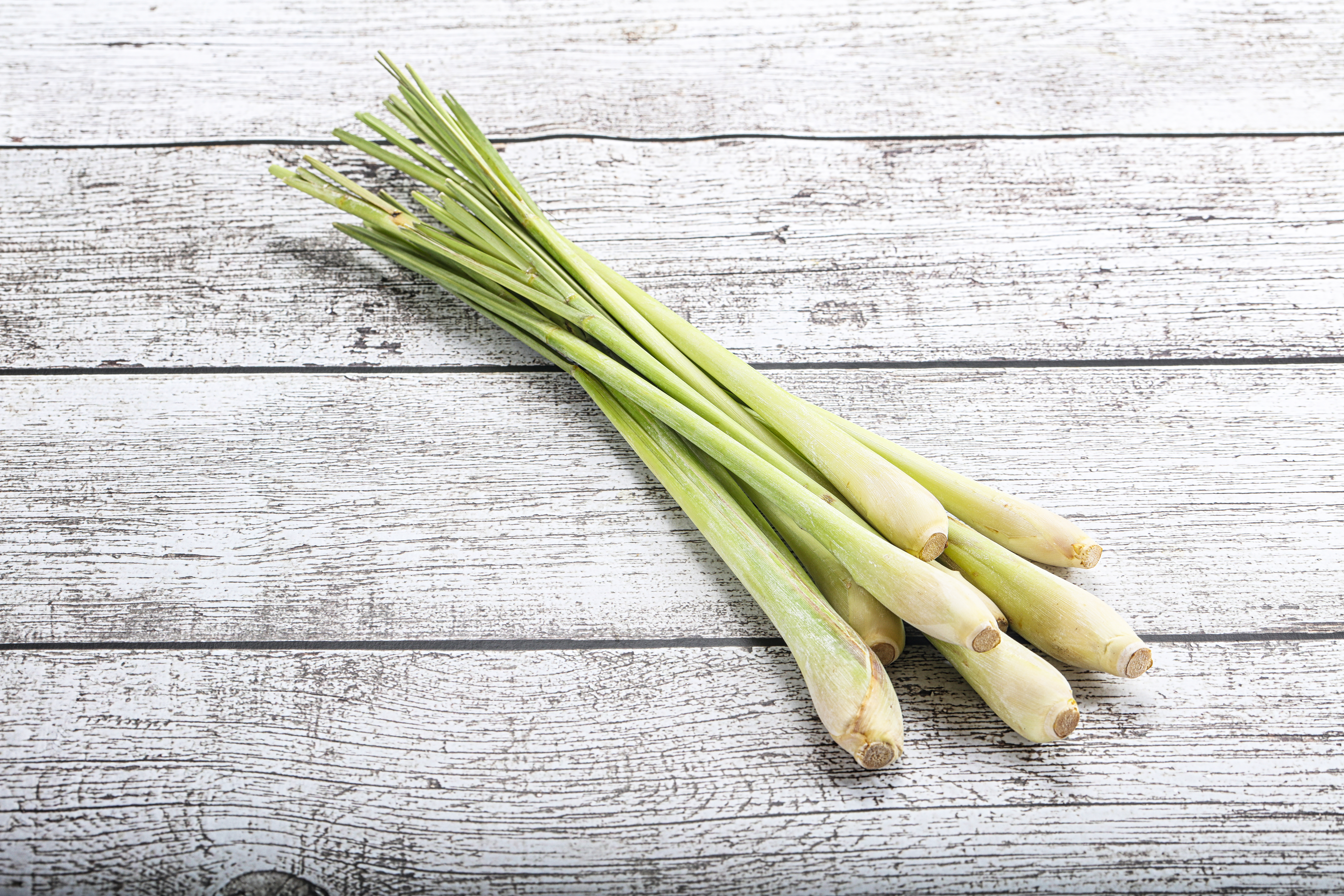 Lemongrass