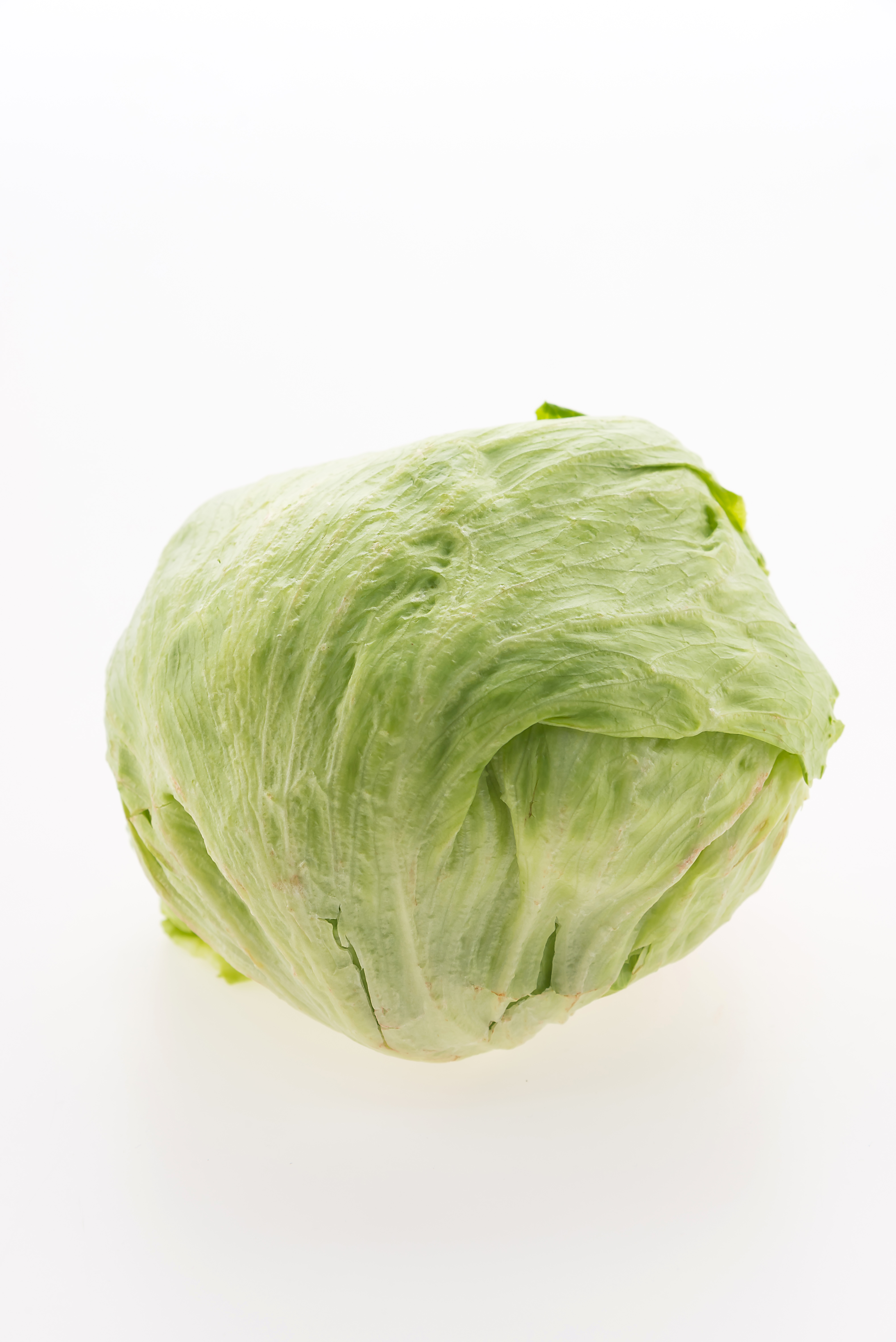 Iceberg Lettuce