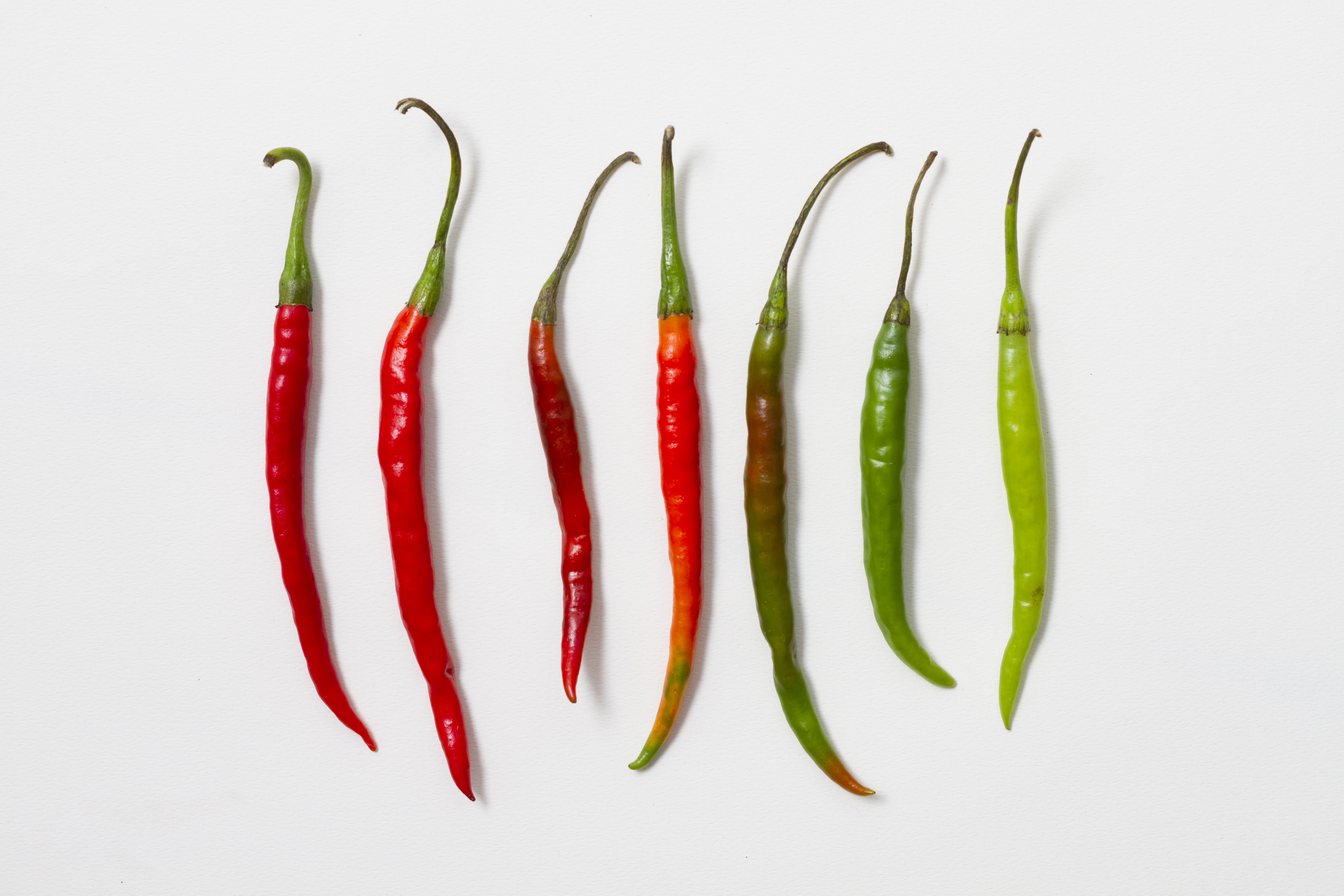 Thai Chile Pepper